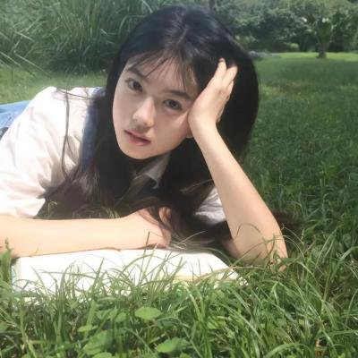 史前狂鲨